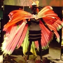 Winning costume in WOW Arts Show