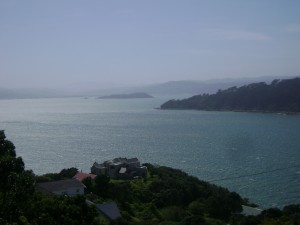 View of Shelley Bay from suburb of Hataitai