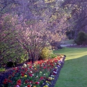 Botanical Gardens, Christchurch