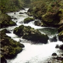 Tumbling waterfall over moss covered rocks