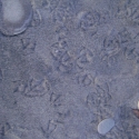 Bird footprints on Hokitika beach