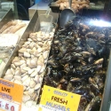 Mussells, Queen Victoria Market