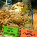 Sand crabs, Queen Victoria Market