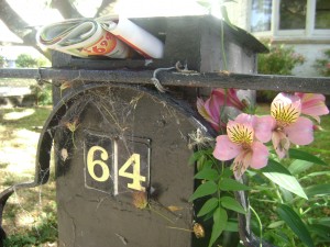 Post box in Nelson, New Zealand