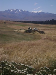 View of mountains in Tekapo 