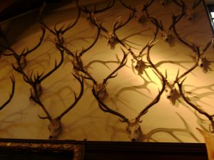 Antlers on the Ballroom Wall, Blair Castle