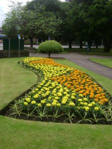 Flowerbed in Kirkcaldy