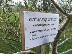 Onetangi Valley Vineyard Walking Trail